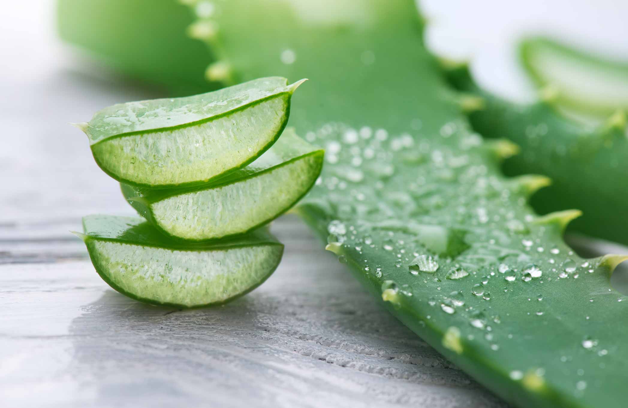 Hand Cream with Aloe Vera and Vitamin E - 100ml - Image 4