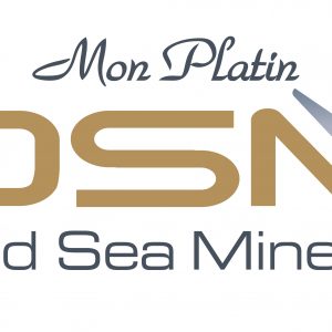 DSM (Dead Sea Minerals)