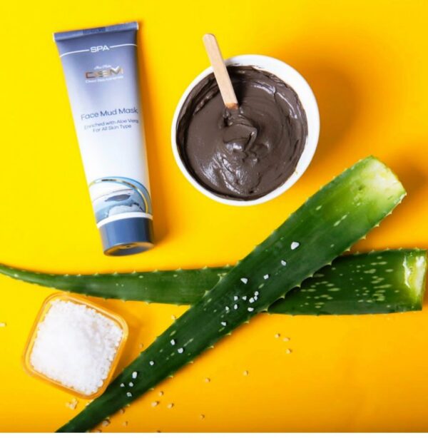 DSM Mud Mask with Aloe Vera - 150ml - Image 3